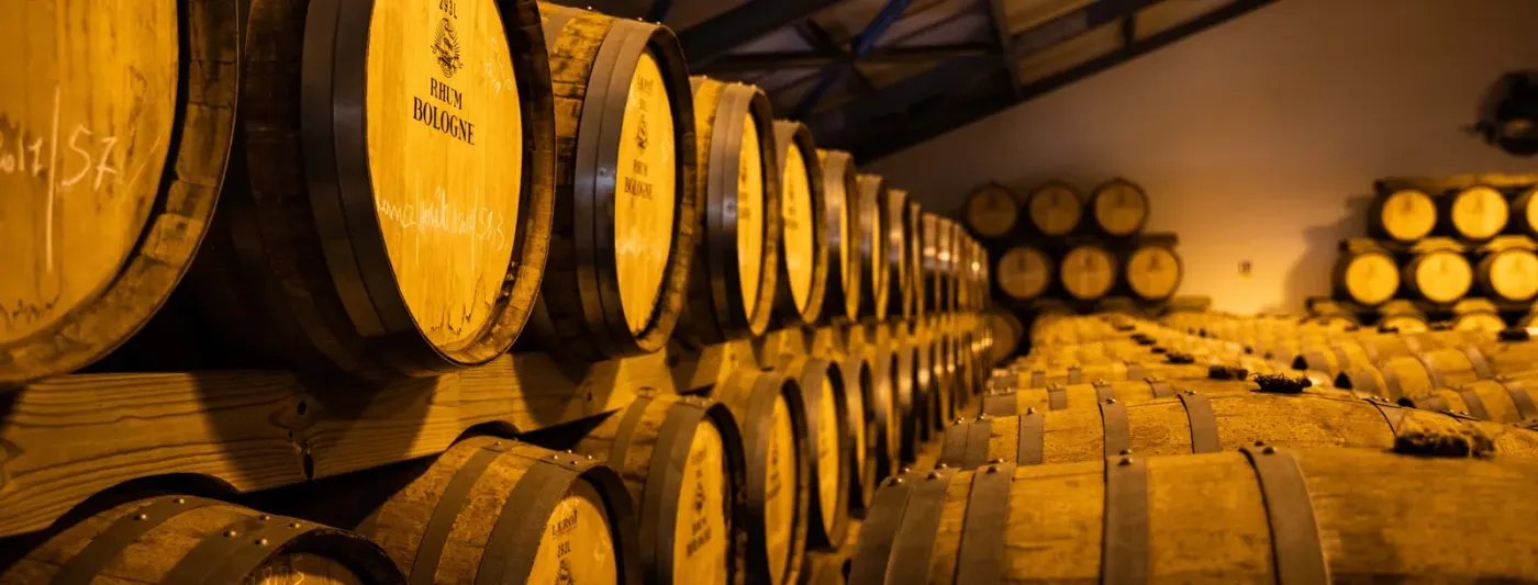 Fûts marqués Rhum Bologne alignés dans le chai de vieillissement