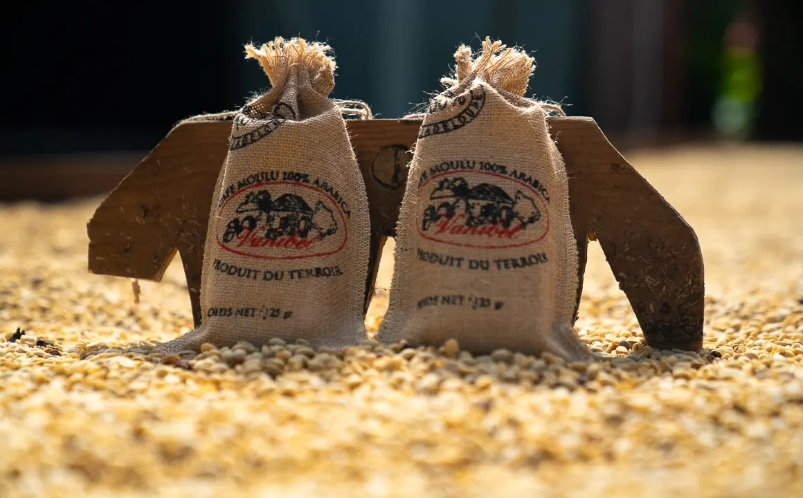 Sacs de café Vanibel posés sur des grains en train de sécher