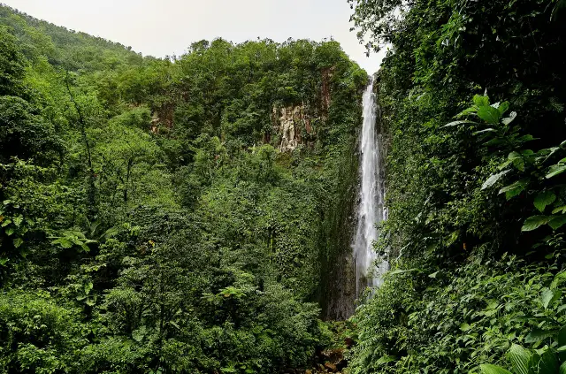 Les chutes du Carbet au cœur de la forêt tropicale du Parc national de la Guadeloupe