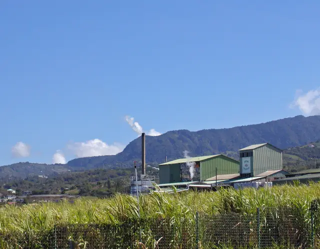 La distillerie Bologne à Basse-Terre derrière un champ de canne, les mornes au fond