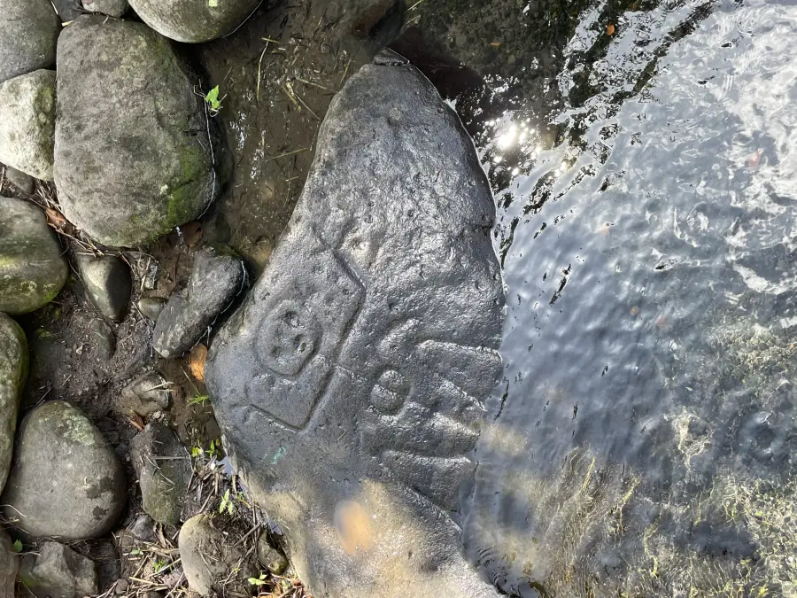 Pétroglyphe précolombien gravé dans une roche au bord de l'eau